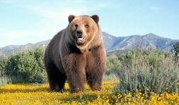 爆料欧尼熊的人是谁呀视频,真相大白！